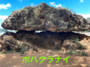 IMG_2629.jpeg